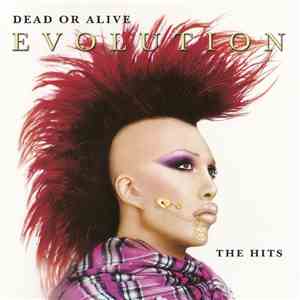 Dead Or Alive - Evolution - The Hits download flac mp3
