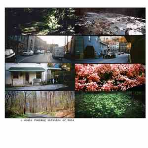 American Pleasure Club - A Whole Fucking Lifetime Of This download flac mp3