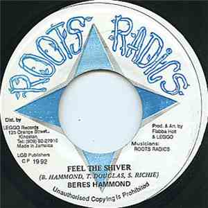 Beres Hammond - Feel The Shiver download flac mp3