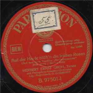 Herbert Ernst Groh - Auf Der Heide Blüh'n Die Letzten Rosen / Schön Ist Die Nacht download flac mp3