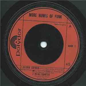 Various - More Hunks Of Funk download flac mp3