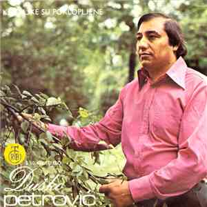 Duško Petrović - Kazaljke Su Poklopljene download flac mp3