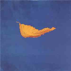 New Order - True Faith download flac mp3
