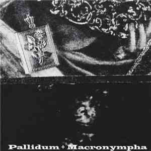 Pallidum + Macronympha - Social Complexity download flac mp3