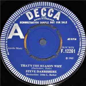 Steve Darbishire - That's The Reason Why download flac mp3