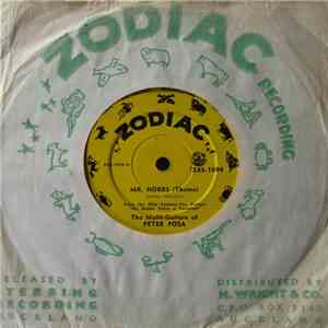 The Multi-Guitars Of Peter Posa - Mr. Hobbs (Theme) download flac mp3