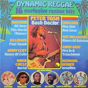 Various - Dynamic Reggae download flac mp3