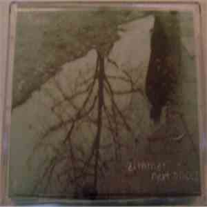 Zimmer  - Next Places download flac mp3