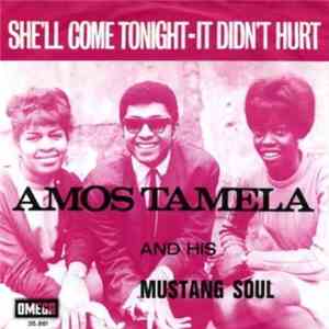 Amos Tamela & His Mustang Soul - She'll Come Tonight / It Didn't Hurt download flac mp3