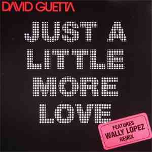 David Guetta Featuring Chris Willis - Just A Little More Love download flac mp3