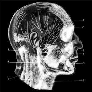 Reality 23 - Untitled download flac mp3