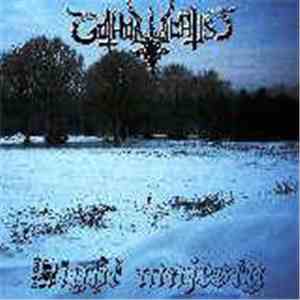 Gotholocaust - Night Majesty download flac mp3