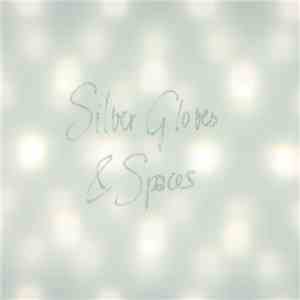 The Lunchbox Surrender - Silver Gloves & Spaces download flac mp3