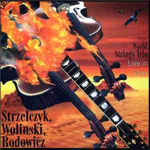 The World Strings Trio - Live in Kiev download flac mp3
