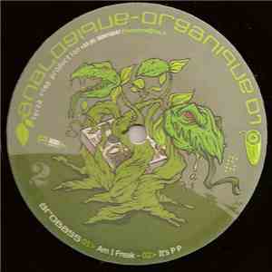 Various - Analogique Organique 01 download flac mp3