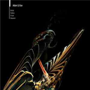 Adan & Ilse - Birds Fallen From Heaven download flac mp3