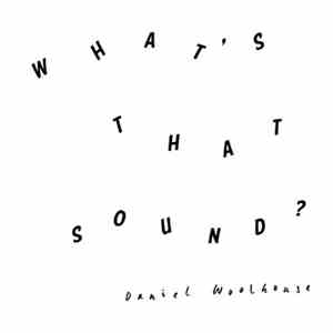 Daniel Woolhouse - What's That Sound? download flac mp3