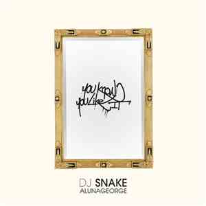 DJ Snake, AlunaGeorge - You Know You Like It download flac mp3