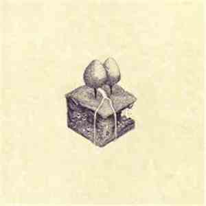 Kiran Leonard - Western Culture download flac mp3