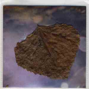 Heart Museum - Untitled download flac mp3