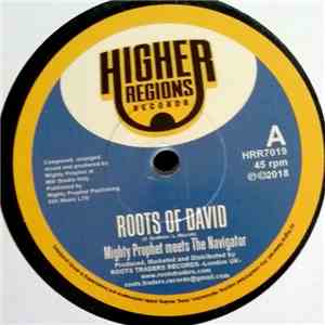 Mighty Prophet Meets The Navigator  - Roots Of David download flac mp3