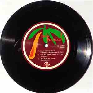 Palm Pizazz - Palm Pizazz! download flac mp3