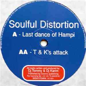 Soulful Distortion - Last Dance Of Hampi download flac mp3