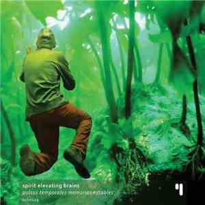 Spirit Elevating Brains - Pulsos Temporales Memorias Estables download flac mp3