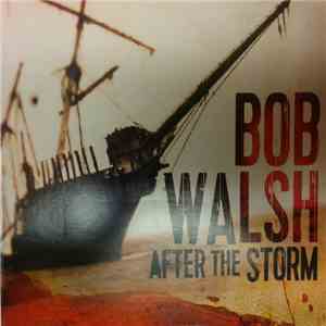 Bob Walsh - After The Storm download flac mp3