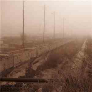 Disgorged Faeces / F(0.049;2;4) - Untitled download flac mp3
