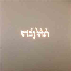 Godspeed You Black Emperor! - Slow Riot For New Zero Kanada E.P. download flac mp3