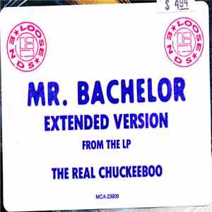 Loose Ends - Mr. Bachelor download flac mp3