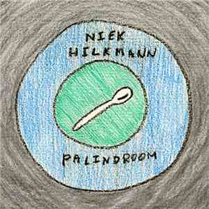 Niek Hilkmann - Palindroom download flac mp3