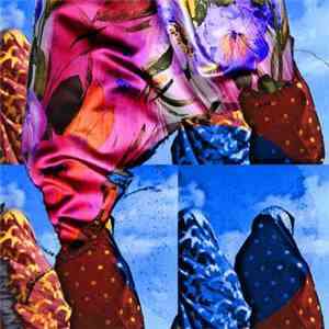 dtcpu - A Bird download flac mp3