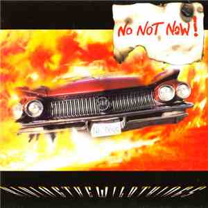 No Not Now! - Riding The Wild Things download flac mp3