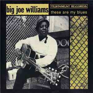 Big Joe Williams - These Are My Blues download flac mp3