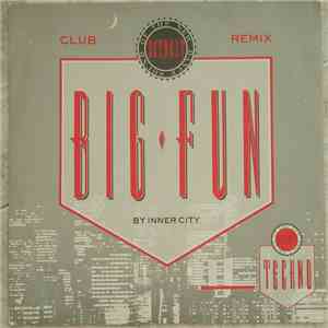 Inner City - Big Fun download flac mp3
