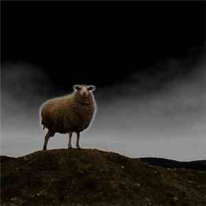 My Dead Cat - Shortcut To Hell download flac mp3