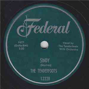 The Tenderfoots - Sindy / Sugar Ways flac mp3 download