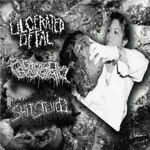 Ulcerated Offal / Endotoxaemia / ShitStench - 3 way split download flac mp3