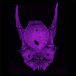 TheCode - Sickest download flac mp3