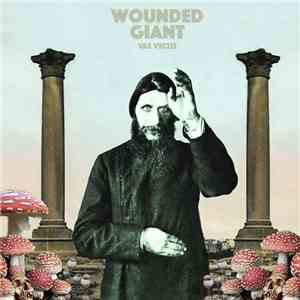 Wounded Giant - Vae Victis download flac mp3
