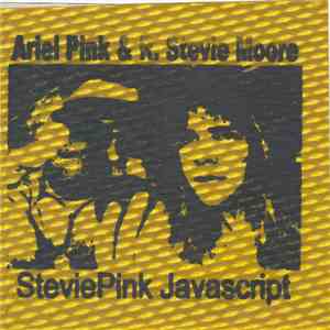 Ariel Pink & R. Stevie Moore - SteviePink Javascript download flac mp3