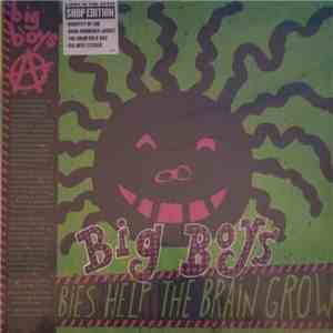 Big Boys  - Lullabies Help The Brain Grow download flac mp3