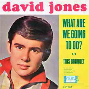 David Jones - What Are We Going To Do? / This Bouquet flac mp3 download