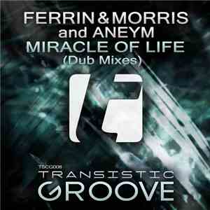 Ferrin & Morris And Aneym - Miracle Of Life (Dub Mixes) download flac mp3