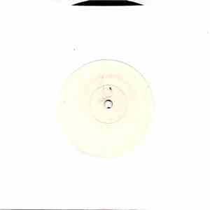 Rational Animals - Perception Becomes Reality download flac mp3