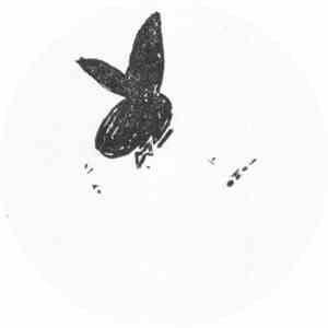 Superpitcher - Rabbits In A Hurry download flac mp3