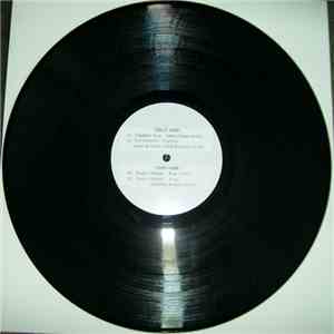 Various - Vinyl Forever Sampler download flac mp3
