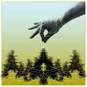 Artifact Shore / linedotstar - Landscape Removal download flac mp3